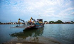 新会区大鳌镇爆料事件最新,真相揭开，悬念揭晓！